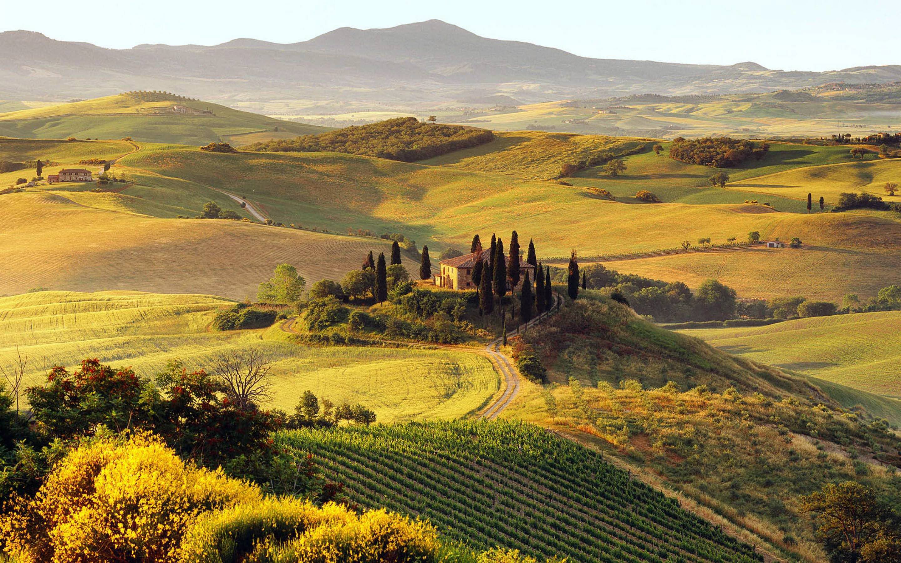 Iconic Tuscan landscape with cypress trees and villa at golden hour